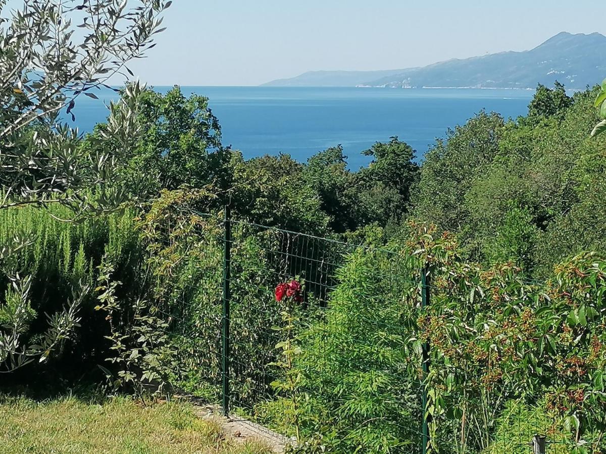 The View Costabella Apartment Rijeka